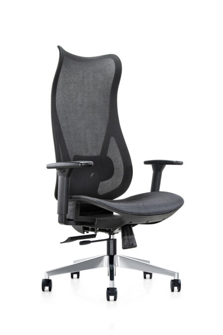 Mala High Back Mesh Ergonomic Chair