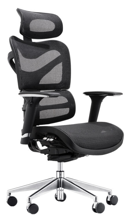 Delia Mesh Ergonomic Chair
